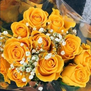 Meet your Posher, Shania